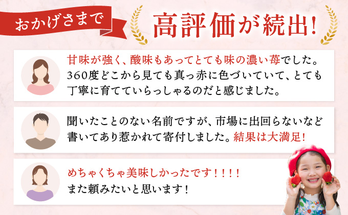 京都亀岡産 雫の里農園 いちご【女峰】4パック ※化学肥料・農薬極力不使用≪苺 イチゴ フルーツ≫ ※6月まで順次発送