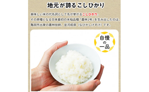 【定期便】令和6年産 新米 訳あり 京都丹波米こしひかり10kg×3回 計30kg◆ 米 3ヶ月 白米 3回定期便 ※精米したてをお届け コシヒカリ ※毎月1回又は2カ月に1回 ※北海道・沖縄・離島への配送不可 ※2024年10月上旬以降順次発送予定