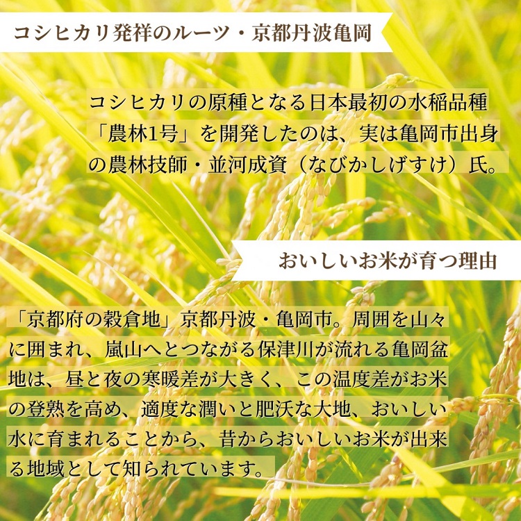 邀ウ 莠ャ驛ス荳ケ豕「逕」 縺薙@縺イ縺九j 5kgテ2 險10kg 窶サ邀ウ鬟溷袖髑大ョ壼」ォ蜴ウ驕ク 窶サ邊セ邀ウ縺励◆縺ヲ繧偵♀螻翫¢縲蝉コャ驛ス莨剰ヲ九ョ縺顔アウ蝠丞ア九′邊セ邀ウ縲醍アウ 逋ス邀ウ 莉、蜥7蟷エ逕」 窶サ豐也ク譛ャ蟲カ繝サ髮「蟲カ縺ク縺ョ驟埼∽ク榊庄