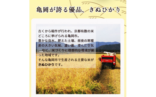 定期便 無洗米 5kg 6ヶ月 京都丹波産 キヌヒカリ 6回定期便 5kg ×6回 計30kg ※受注精米《米 白米 きぬひかり 5kg 6回 計30キロ ふるさと納税 無洗米 大嘗祭供納品種》 ※北海道・沖縄・その他離島への配送不可