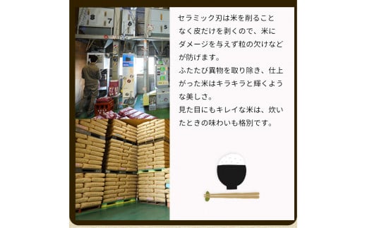 【定期便】令和6年産 新米 訳あり 京都丹波米 きぬひかり5kg×4回 計20kg◆4回定期便 米 白米 5kg 4ヶ月※精米したてをお届け 米・食味鑑定士厳選 キヌヒカリ 京都丹波産 ※北海道・沖縄・離島への配送不可 ※2024年10月上旬以降順次発送予定