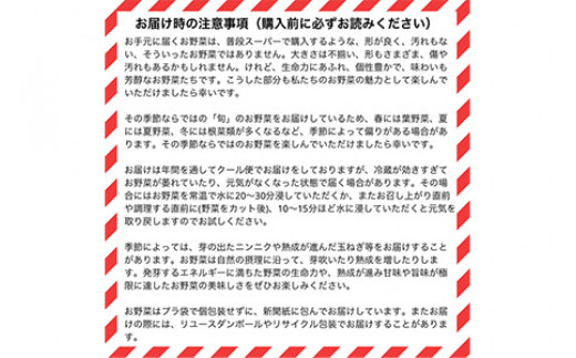 【12回定期便】京都府・亀岡産 自然農法＆農薬を使わずに育てた体も心も喜ぶ、かたもとオーガニックファームの季節のお野菜セット 毎回10〜20品目　※離島への発送不可