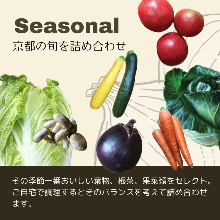 ＜３６９商店＞京都丹波産旬の野菜セット　※全て栽培期間中農薬・化学肥料不使用 ※北海道・沖縄・離島への配送不可