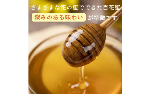 亀岡産　日本みつばち百花蜜　130g《純粋 非加熱 国産 無添加 生はちみつ 蜂蜜 ハチミツ 健康 ダイエット》