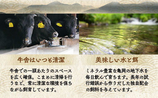 ã京éœãã¥ã€å±å³éžãäºå²¡çã¹ããŒãé£ã¹æ¯ã¹ãã©ã³ãã¹ããŒã120gãã€ããã¹ããŒã120gãããŒã¹ã¹ããŒã120gãèš360gãâªèš³ãã åç çè å·å ã¹ããŒãâ«