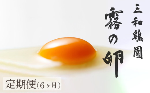 【6回定期便】新鮮 卵 120個（100個+卵割れ保証20個）(10個×12パック)京都丹波『霧の卵』三和鶏園 ≪たまご タマゴ 玉子 生卵 鶏卵 小分け 贈答 ギフト ふるさと納税 卵 直送 冷蔵 朝食 料理 人気≫ ※北海道・沖縄・離島への配送不可