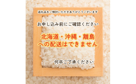 【12回定期便】京都 亀岡産 きぬひかり 「こぞう米」 5kg × 12ヶ月 合計60kg 毎月お届け《米 令和6年産 生活応援 訳あり》 ※北海道・沖縄・離島への配送不可