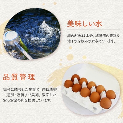 京たまご 茶乃月セット 1箱 30個(10個×3)【配送不可地域：離島】【1070128】