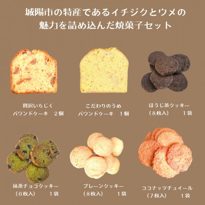 城陽市の特産であるイチジクとウメの魅力を詰め込んだ焼菓子セット【1571496】