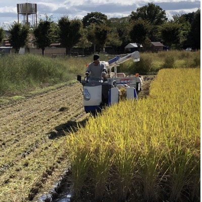 循環農法で育てたヒノヒカリ　玄米10キロ　栽培期間中農薬・化学肥料不使用【1351736】