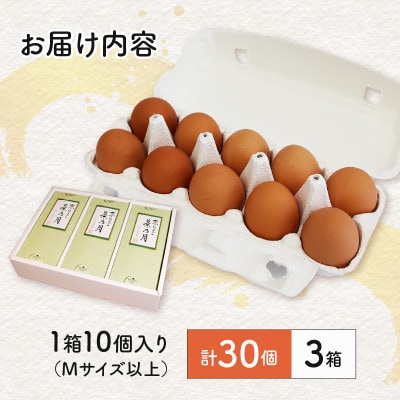 京たまご 茶乃月セット 1箱 30個(10個×3)【配送不可地域：離島】【1070128】
