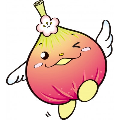 【数量限定】じょうりんちゃん いちじくスタウト 3本 城陽市のイチジクを使用したクラフトビール【配送不可地域：離島】【1714235】