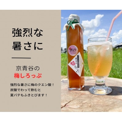 炭酸水や、カクテルで楽しめる梅の味【京青谷の梅しろっぷ】200ml×2本【1431920】