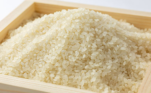 京都山城産　特別栽培米　やましろの恵　5kg(令和5年産)【1233378】
