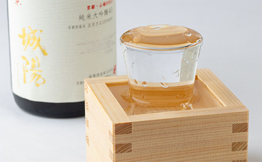 日本酒「城陽」純米大吟醸40五百万石　720ml【1456154】