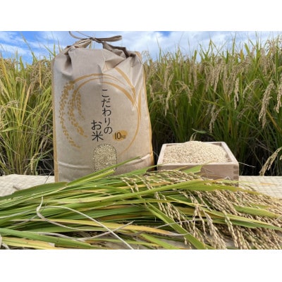 循環農法で育てたヒノヒカリ　玄米20キロ　栽培期間中農薬・化学肥料不使用【1364119】