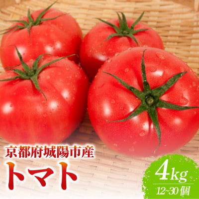 京都府産 トマト 約4kg(12〜30個)産地直送【配送不可地域：離島】【1710056】