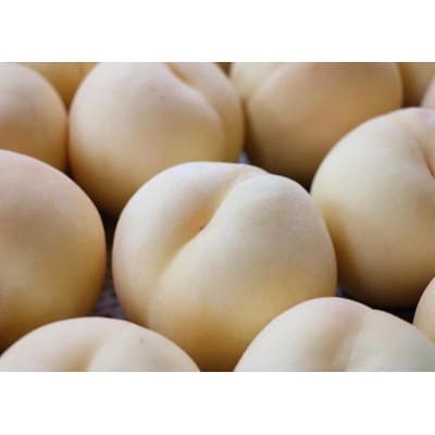 オリジナルアイスクリーム【 甘熟いちじく・桃2種 】6個詰め合わせセット【配送不可地域：離島】【1569361】