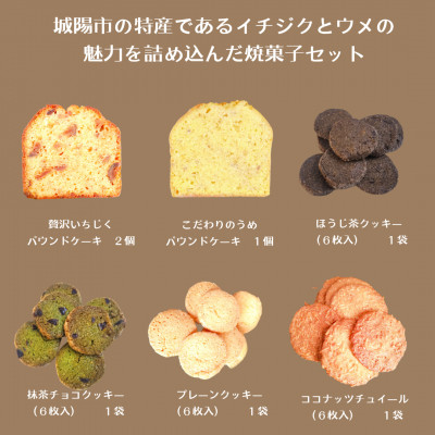 城陽市の特産であるイチジクとウメの魅力を詰め込んだ焼菓子セット【1571496】