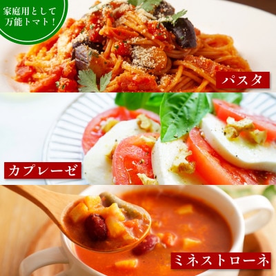 京都府産 トマト 約4kg(12〜30個)産地直送【配送不可地域：離島】【1710056】