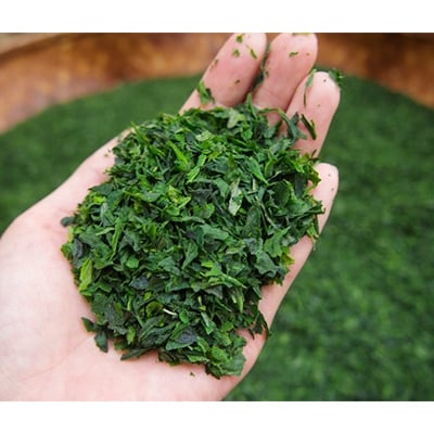 京抹茶 孫右ヱ門:三種のお茶飲みくらべセット(玉露、碾茶、抹茶)【1061709】