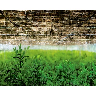 京æ¹è¶ å«å³ã±é:ã»ããæ¹è¶ã埡éãçœæ ²(-ãããã-)20gã1061713ã