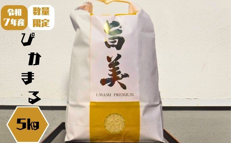 令和7年産 ぴかまる お米番付2021優秀賞受賞 米 お米 5kg 五十棲 京都 白米 ライス こめ コメ おこめ 精米 ごはん お弁当 おにぎり 主食 炭水化物 京都府産 向日市産 国産 日本産 京都府向日市