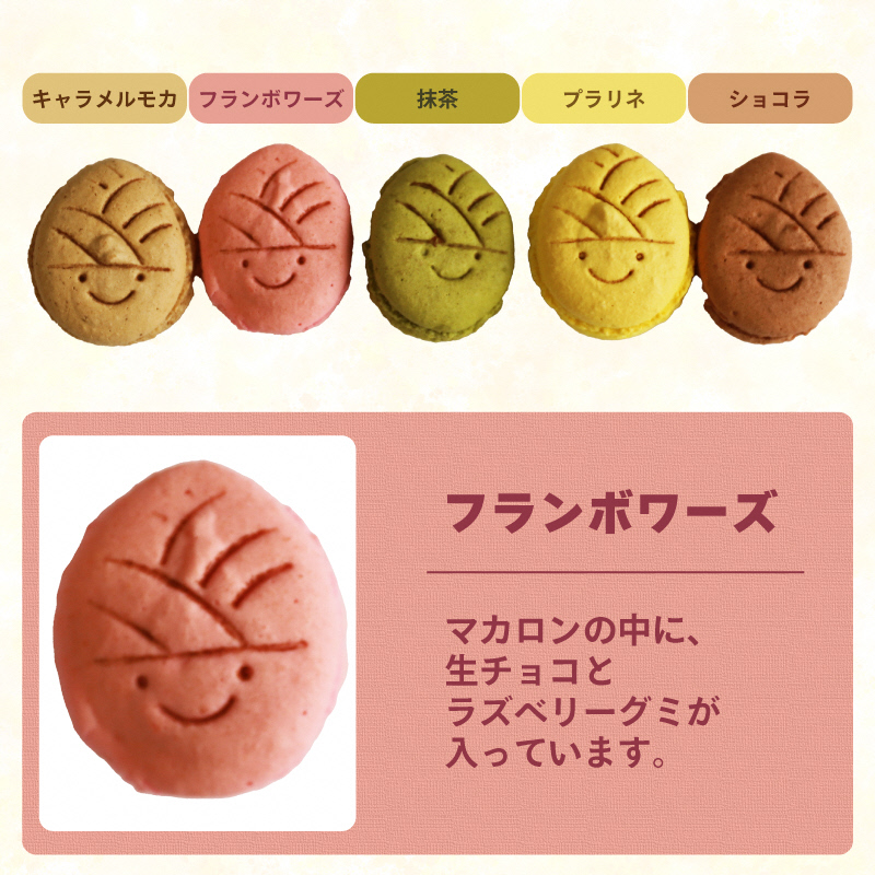 タケノコ戦隊マカロンジャー マカロン 5色 2箱 化粧箱入り｜デザート スイーツ 焼き菓子 たけのこ タケノコ たけのこマカロン ご当地 京都 長岡京 長岡京市 [1485]