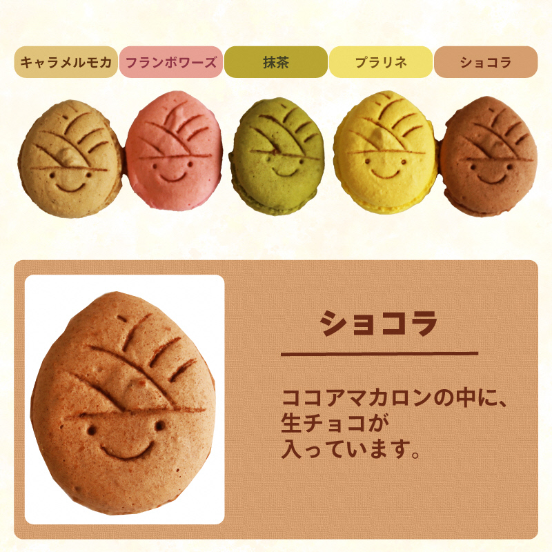 タケノコ戦隊マカロンジャー マカロン 5色 1箱 化粧箱入り｜デザート スイーツ 焼き菓子 たけのこ タケノコ たけのこマカロン ご当地 京都 長岡京 長岡京市 [1484]