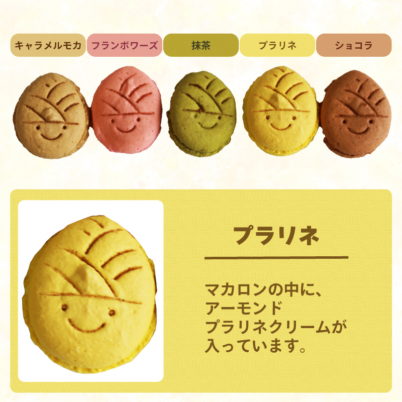 タケノコ戦隊マカロンジャー マカロン 5色 2箱 化粧箱入り｜デザート スイーツ 焼き菓子 たけのこ タケノコ たけのこマカロン ご当地 京都 長岡京 長岡京市 [1485]