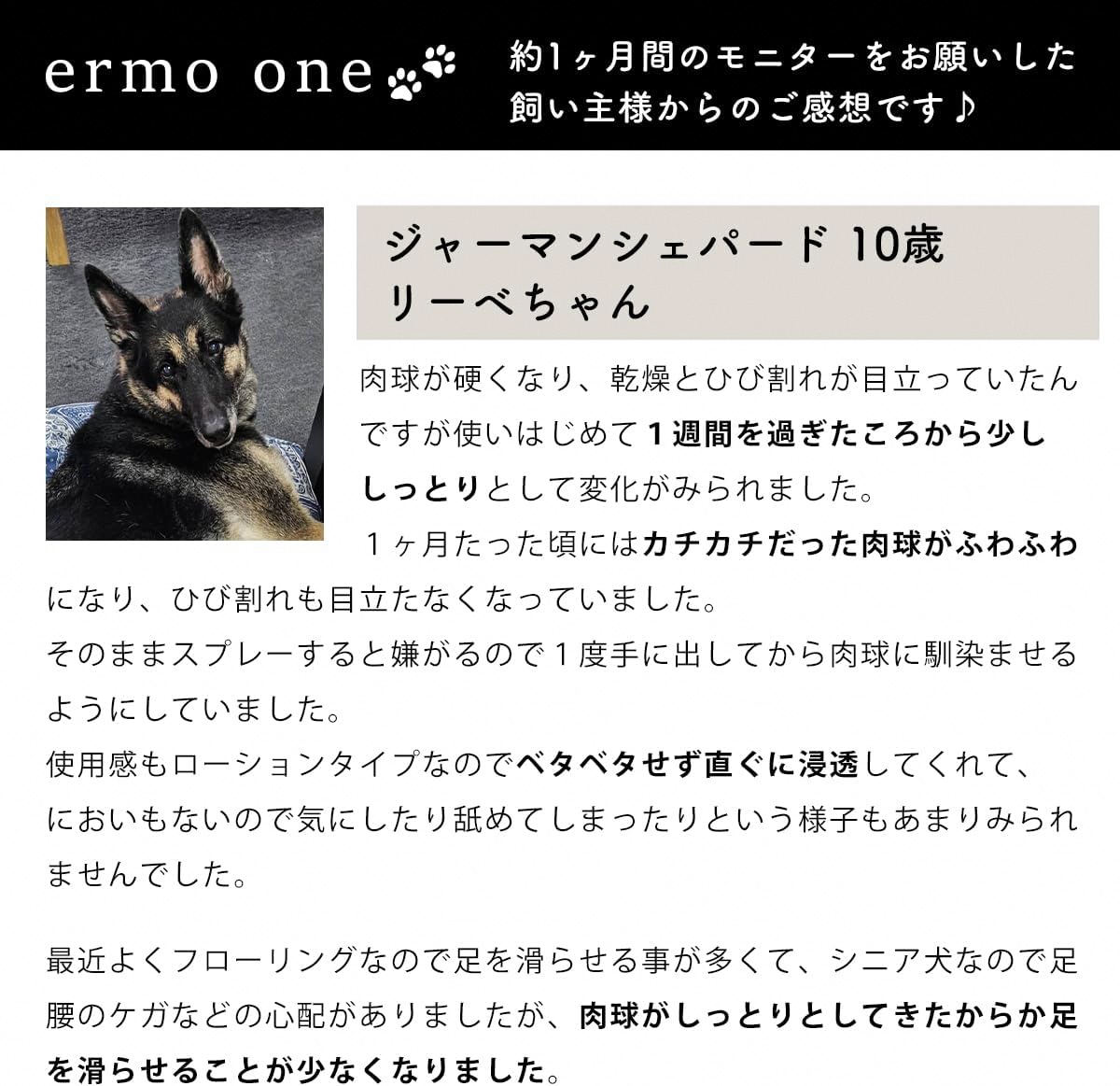 パウローション ermo one (肉球ケア／肉球保湿ローション) 5本セット ｜犬 肉球ケア 肉球クリーム ミスト 犬用ローション 犬用 保湿ローション 犬用保湿剤 乾燥 ひび割れ ケア 保護 いぬ ケア用品 保湿ミスト うるおい ペット用品 犬用品 [1592]