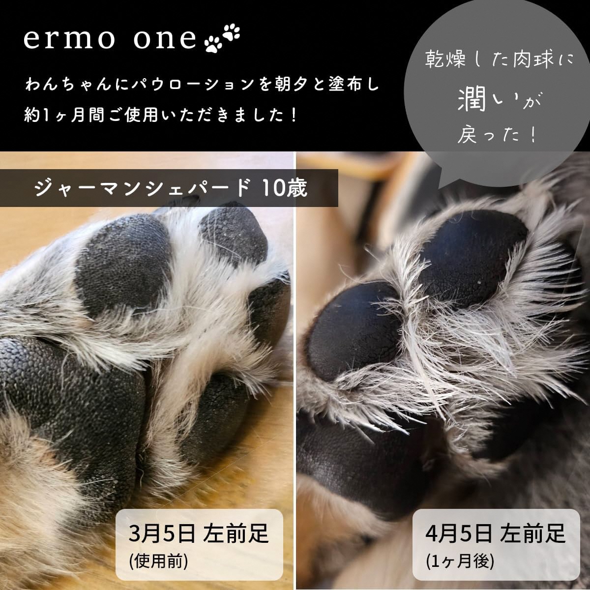 パウローション ermo one (肉球ケア／肉球保湿ローション) 5本セット ｜犬 肉球ケア 肉球クリーム ミスト 犬用ローション 犬用 保湿ローション 犬用保湿剤 乾燥 ひび割れ ケア 保護 いぬ ケア用品 保湿ミスト うるおい ペット用品 犬用品 [1592]