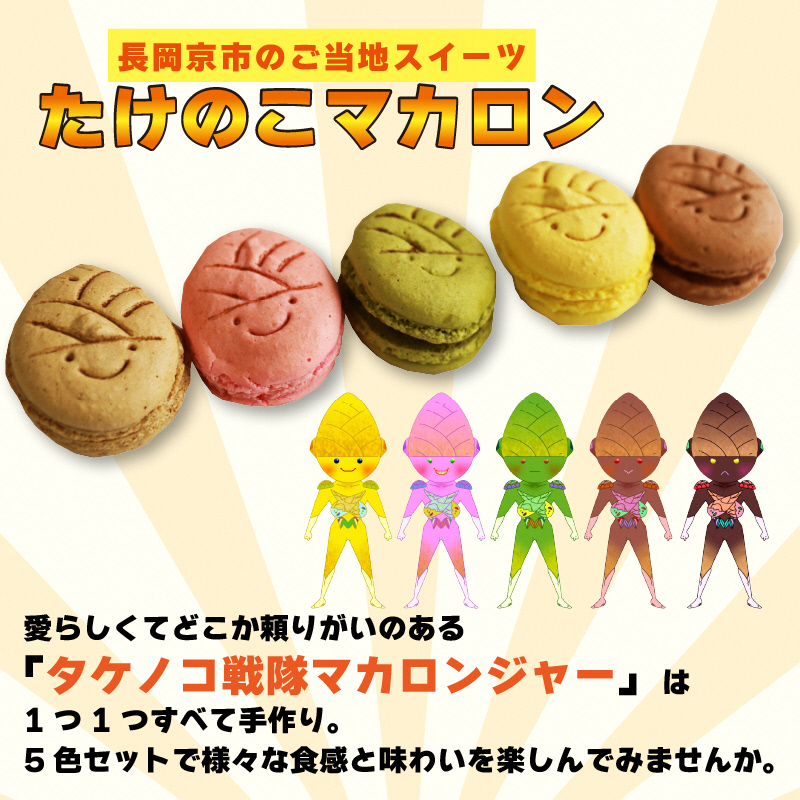 タケノコ戦隊マカロンジャー マカロン 5色 1箱 化粧箱入り｜デザート スイーツ 焼き菓子 たけのこ タケノコ たけのこマカロン ご当地 京都 長岡京 長岡京市 [1484]