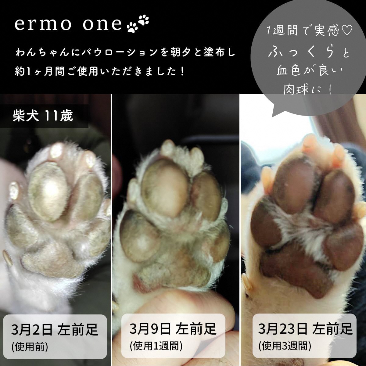 パウローション ermo one (肉球ケア／肉球保湿ローション) 5本セット ｜犬 肉球ケア 肉球クリーム ミスト 犬用ローション 犬用 保湿ローション 犬用保湿剤 乾燥 ひび割れ ケア 保護 いぬ ケア用品 保湿ミスト うるおい ペット用品 犬用品 [1592]