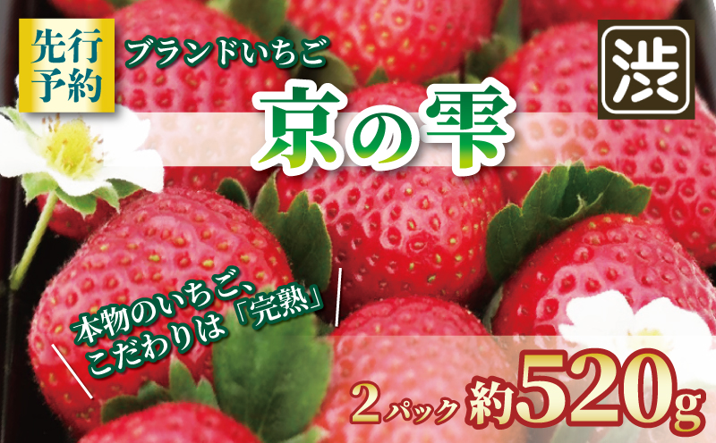 【京都のブランドいちご】 京の雫 いちご 約520g 260g×2パック 《2025年12月〜2026年5月発送》 イチゴ 苺 完熟 ストロベリー ベリー フルーツ くだもの 果物 ブランド デザート ケーキ ジャム デザート おやつ 甘い 糖度 新鮮 産地 直送 フレッシュ 人気 おすすめ ふるさと納税 京都 八幡 八幡市 渋谷農園