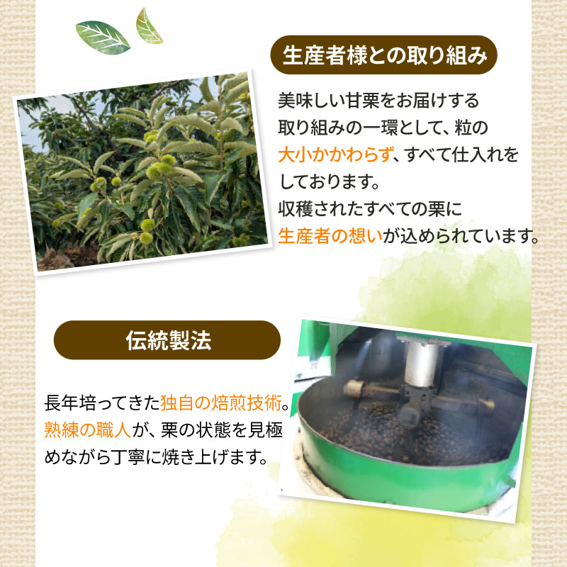 螟ゥ豢・逕俶 6000蜀 700g 譬礼穐莉倥″ 逵溽ゥコ 逕俶 譬 莠ャ驛ス 蜈ォ蟷。蟶