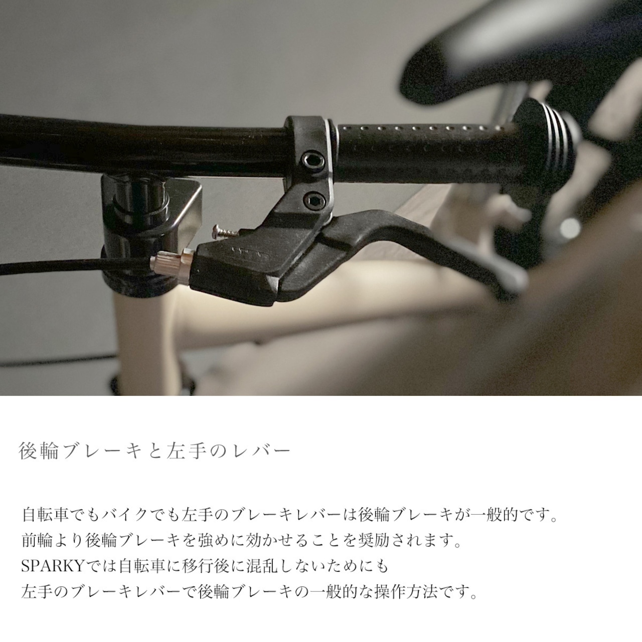 キックバイク SPARKY Mint 1台 子供用自転車 自転車 キッズバイク バイク キッズ こども 子供 子供用 ファーストライダー ファーストバイク バランスバイク ストライダー ランニングバイク ペダルレスバイク おしゃれ 誕生日プレゼント プレゼント ギフト 贈答 贈り物 お祝い 誕生日 記念日 入学祝い 人気 おすすめ ふるさと納税 京都 八幡 八幡市 サーチライト