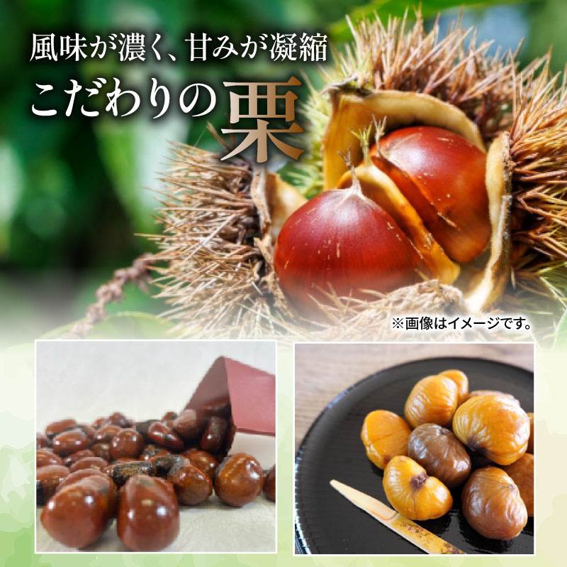 螟ゥ豢・逕俶 6000蜀 700g 譬礼穐莉倥″ 逵溽ゥコ 逕俶 譬 莠ャ驛ス 蜈ォ蟷。蟶