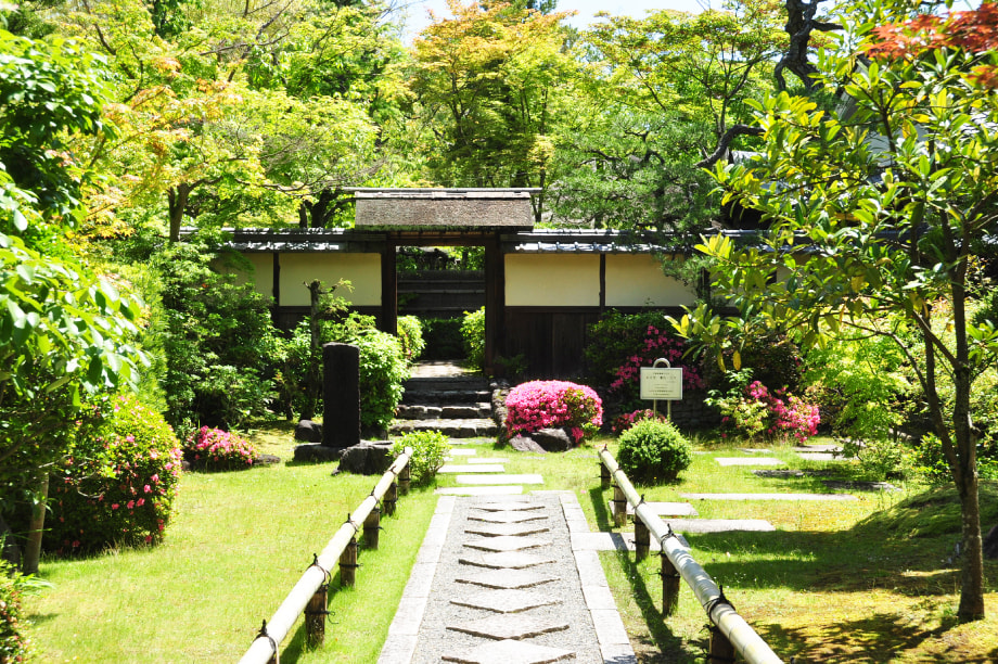 螟壽ァ倥↑譁蛹冶敢陦捺エサ蜍輔ョ謖ッ闊