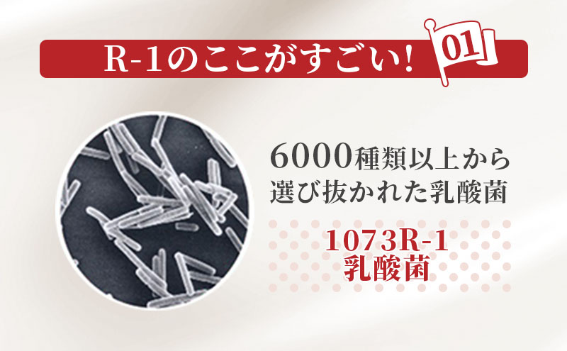 【12ヶ月連続でお届け】明治プロビオヨーグルトR-1ドリンクタイプ低糖・低カロリー 飲むヨーグルト 乳酸菌飲料 meiji 予防