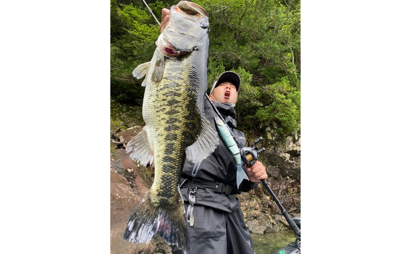 BALAM245 #4 バラム GMチャート〈マドネス、ビックベイト、スイムベイト、ジャイアントベイト、釣り、バス釣り、ルアー、釣り具、スポーツ〉 雑貨 日用品 