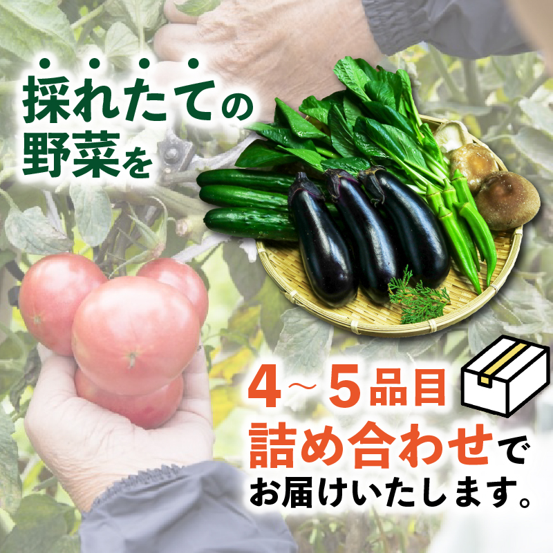 【訳あり】旬の野菜詰め合わせ セット