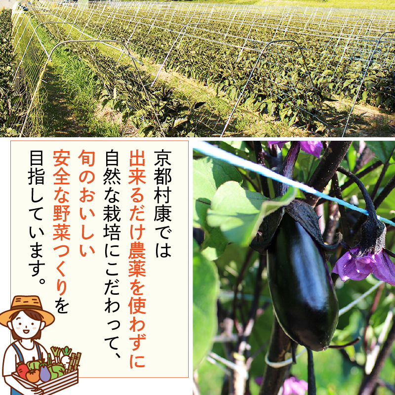 【訳あり】旬の野菜詰め合わせ セット