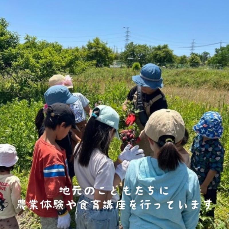 蓮華がはぐくむ濃い甘糀 甘酒 あまざけ あま酒 米麹 甘糀 国産 お米100％ ノンアルコール 砂糖不使用 無添加 京田辺市 京都