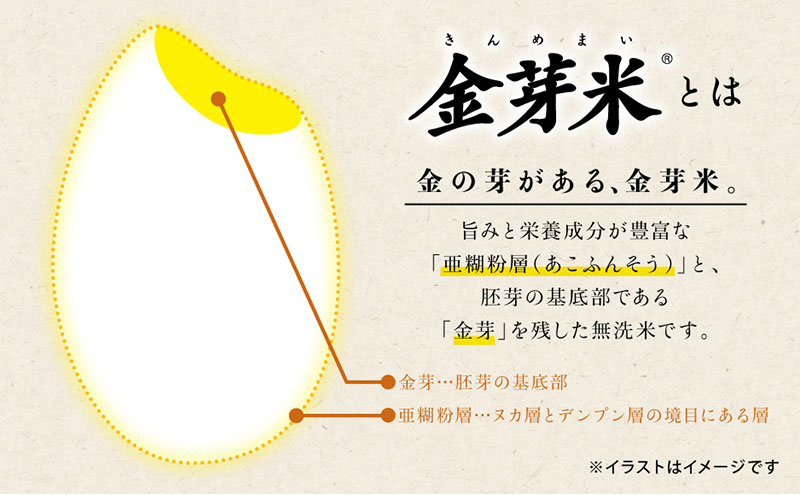 【先行予約】京都山城産　京と米  金芽米　5kg　お米 米 ごはん おにぎり お弁当 東洋ライス 京都府 京丹後市