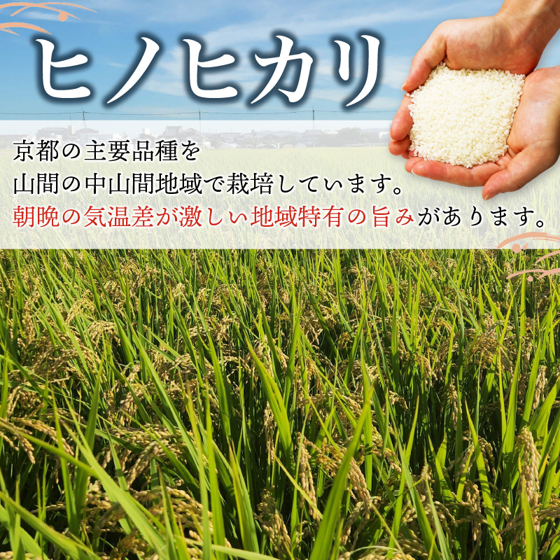 京田辺市産　ヒノヒカリ　5kg