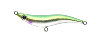 shiriten EBEECH 48 #09 銀粉キビナゴ