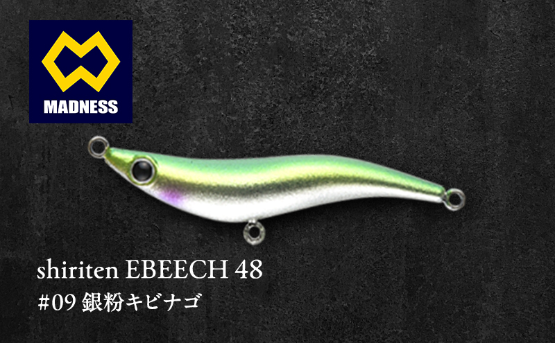 shiriten EBEECH 48 #09 銀粉キビナゴ