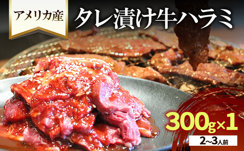 アメリカ産タレ漬け牛ハラミ　2～3人前 300g×1 牛肉 焼肉 焼き肉 アウトドア BBQ
