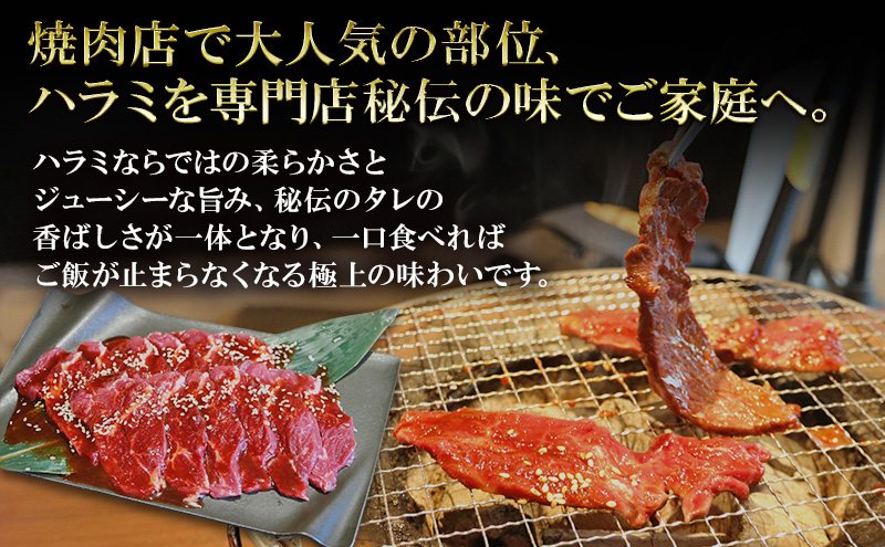 ã¢ã¡ãªã«ç£ã¿ã¬æŒ¬ãçãã©ãã6ïœ9人å 300gÃ3 çè çŒè çŒãè ã¢ãŠãã㢠BBQ